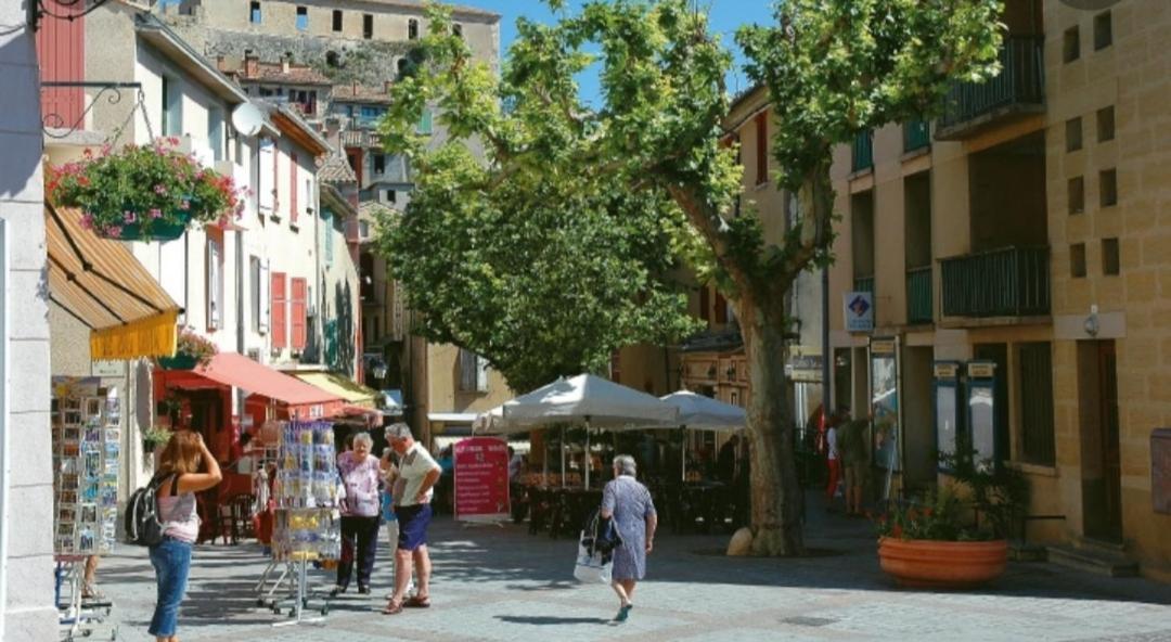 L'agréable maison du Verdon Gréoux-les-Bains Extérieur photo
